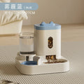 Automatic feeder for dogs and cats